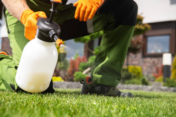 Flea Control Services in University Center, VA
