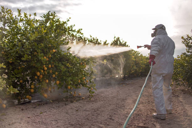 Best Pest Prevention Services  in University Center, VA