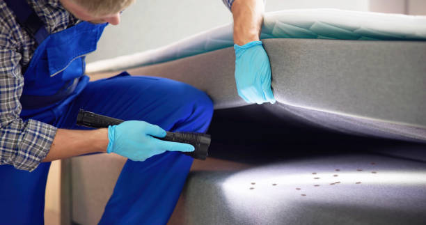 Best Pest Inspection Near Me  in University Center, VA
