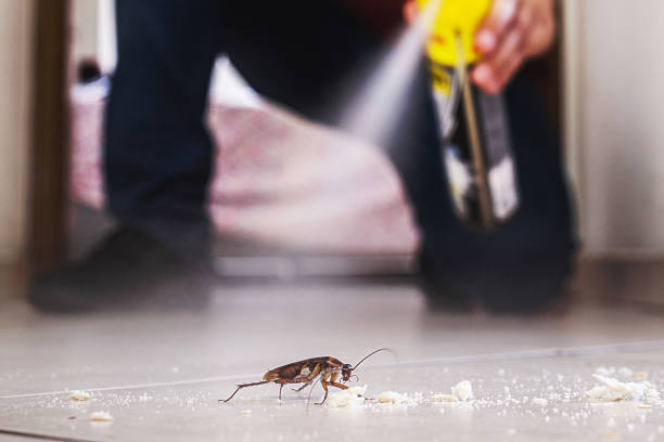 Best Pest Removal Services  in University Center, VA