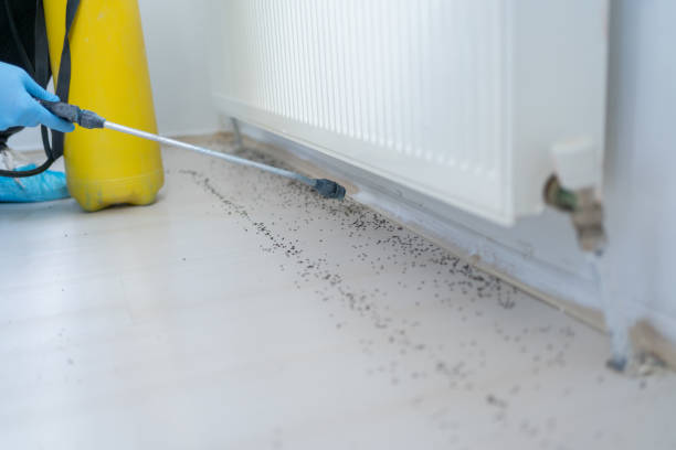 Best Bed Bug Extermination  in University Center, VA